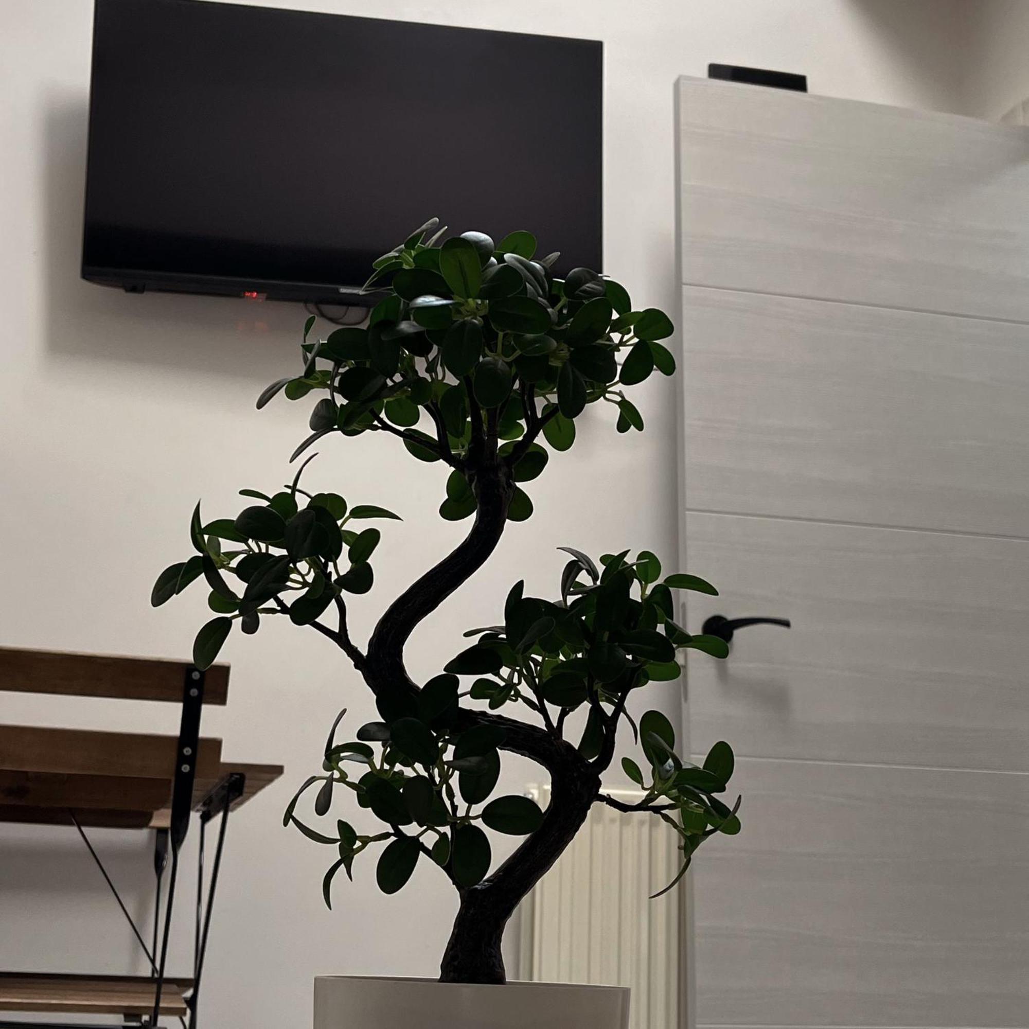 Apartamento Calera Burgo Extérieur photo